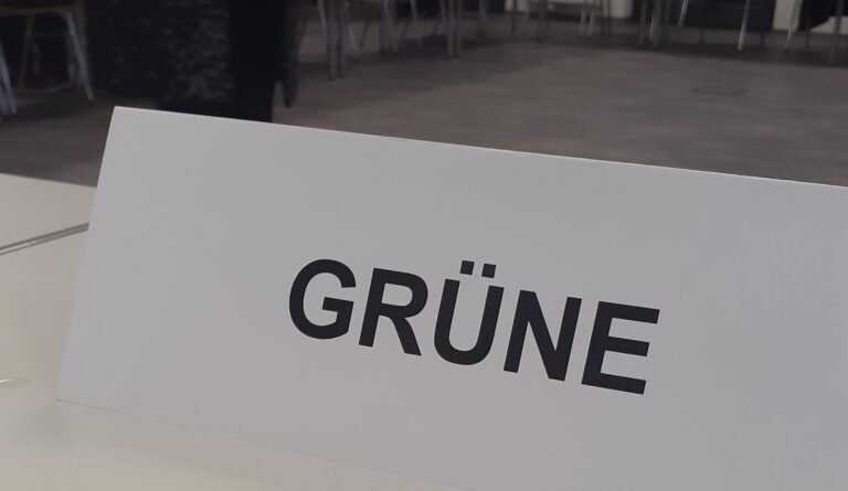 Neu im Rat mit erster grün-linker Fraktion